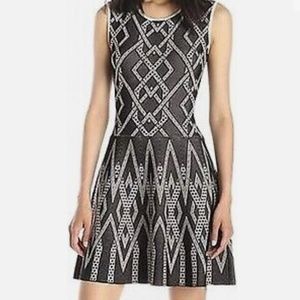 BCBG maxazaria  flare knit dress: Debbie